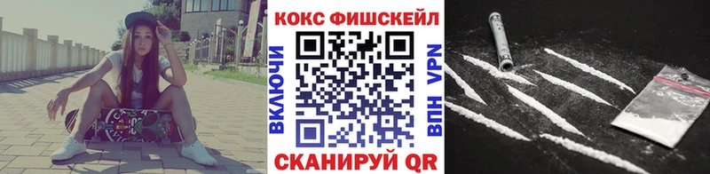 КОКАИН Fish Scale  Купить где  Рошаль 