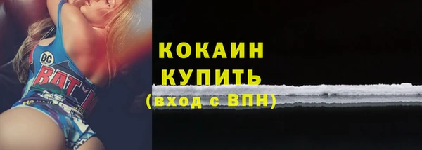 стаф Дмитров