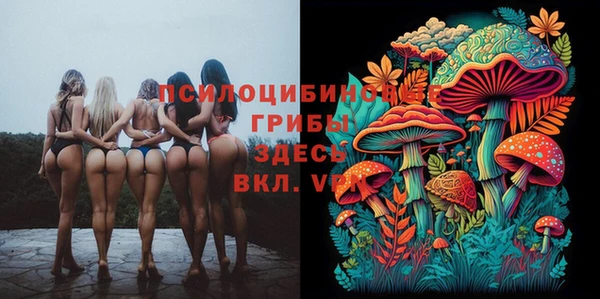 каннабис Дмитриев