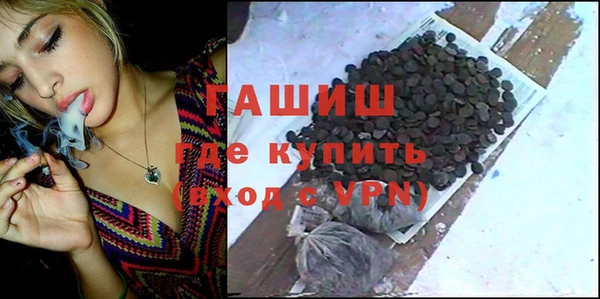 стаф Дмитров