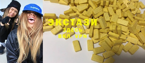 стаф Дмитров