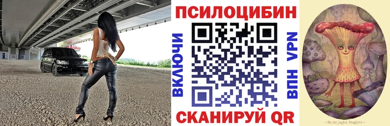 Купить закладки  Рошаль  Псилоцибиновые грибы MAGIC MUSHROOMS 